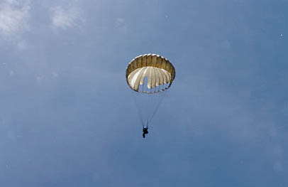 Dropping like a rock!